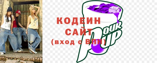 молекула духа Арсеньев