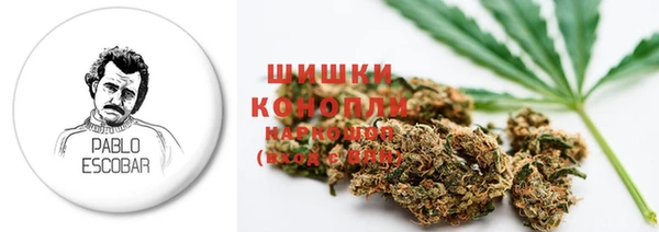 молекула духа Арсеньев