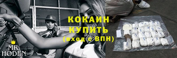 молекула духа Арсеньев