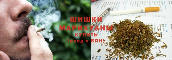 молекула духа Арсеньев