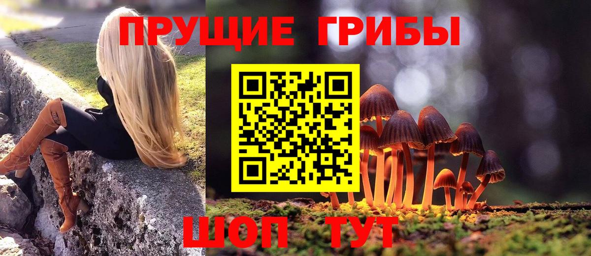 Галлюциногенные грибы Magic Shrooms  Вход с VPN  цены   Ухта  Галлюциногенные грибы прущие грибы 